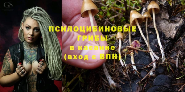 a pvp Алексин