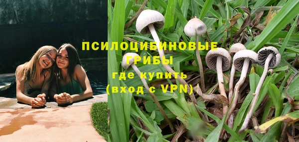 гашик Алексеевка