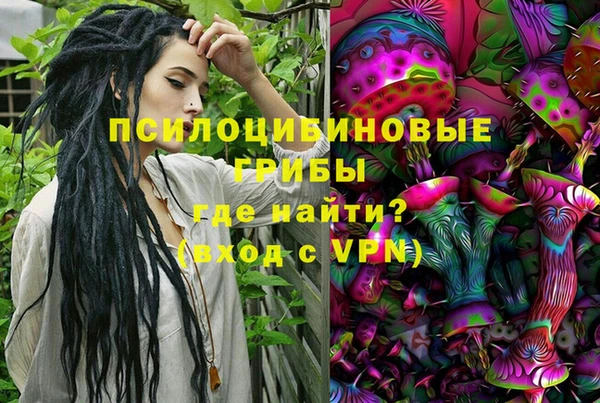 гашик Алексеевка