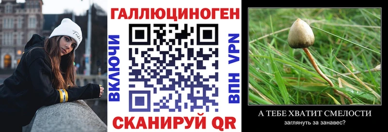 Галлюциногенные грибы Psilocybe  наркота  Усолье-Сибирское 
